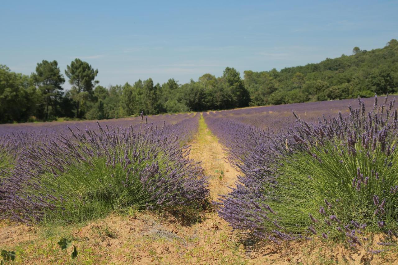 Saint-Paulet-de-Caisson Les Yourtes De Provence מראה חיצוני תמונה